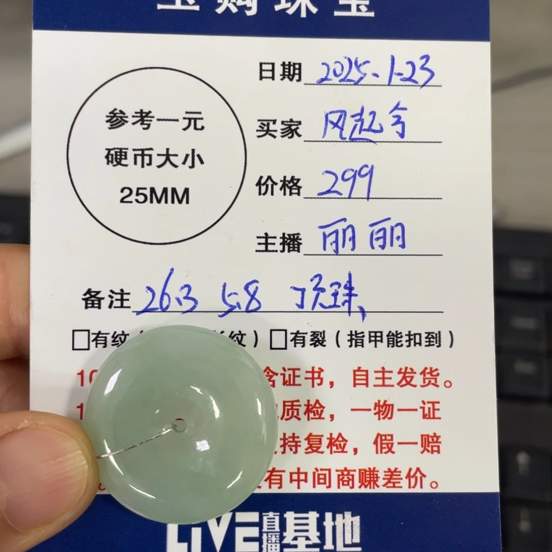 翡翠颈饰未镶嵌平安扣