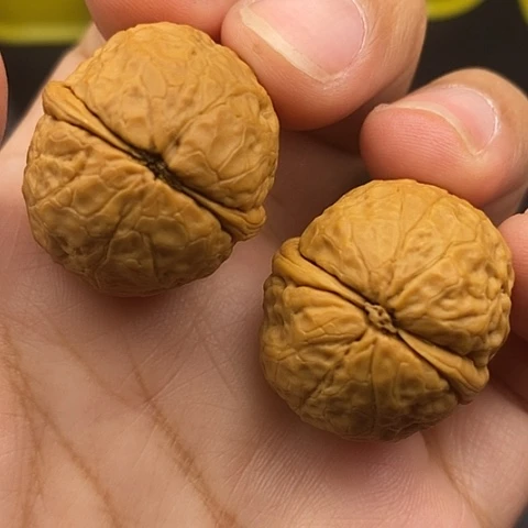 文玩核桃把件29尺鸽子蛋