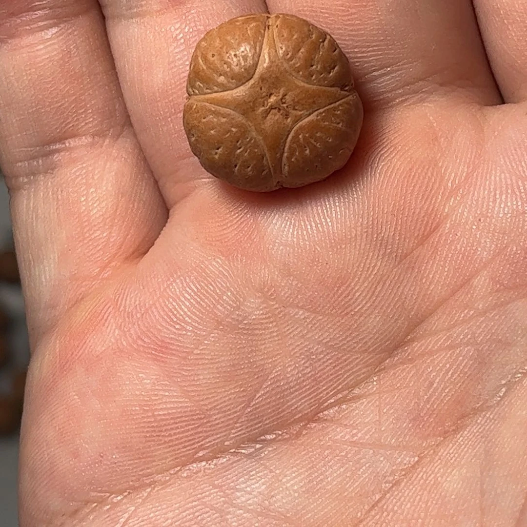 桃核吊坠19mm麒麟眼，开孔不退，偏远不包