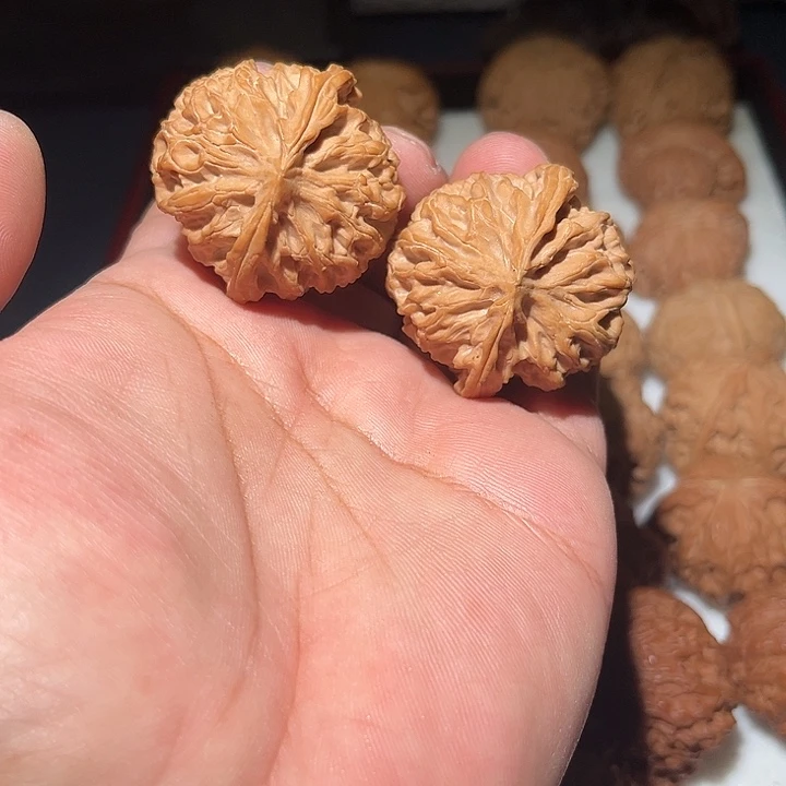 木边度41苹果圆。