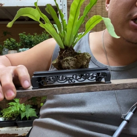 红陶觅*一物一拍所见即所得167