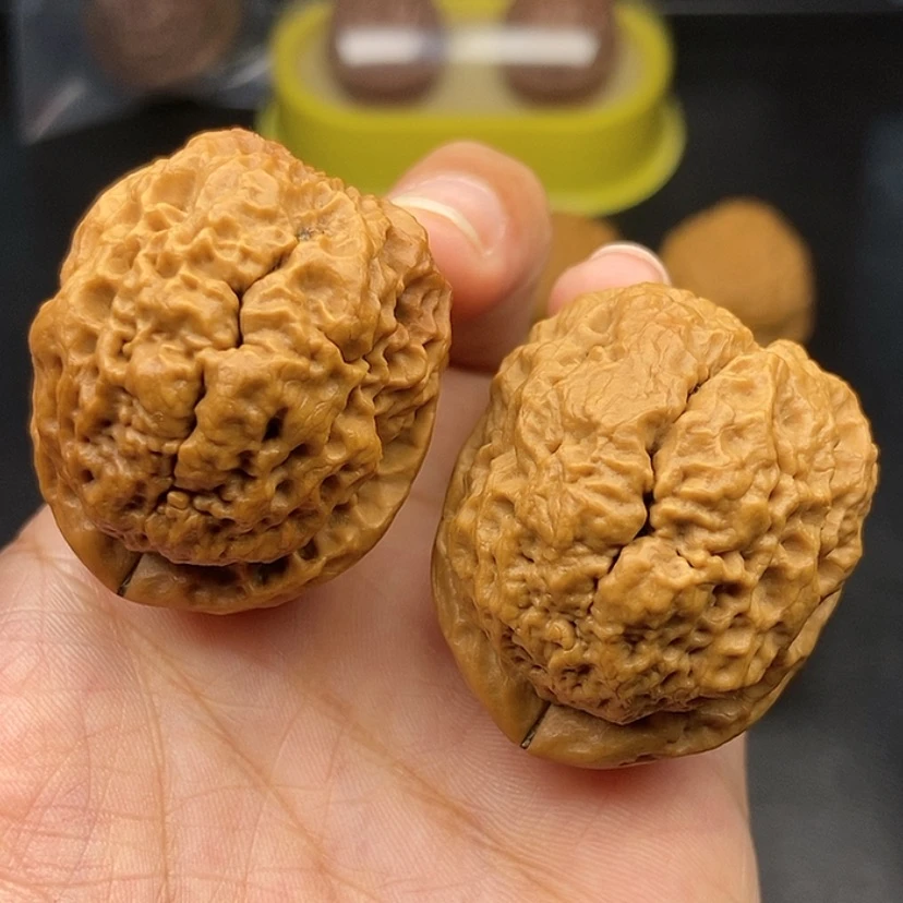 【闪购商品】把件文玩核桃40尺老蟾头