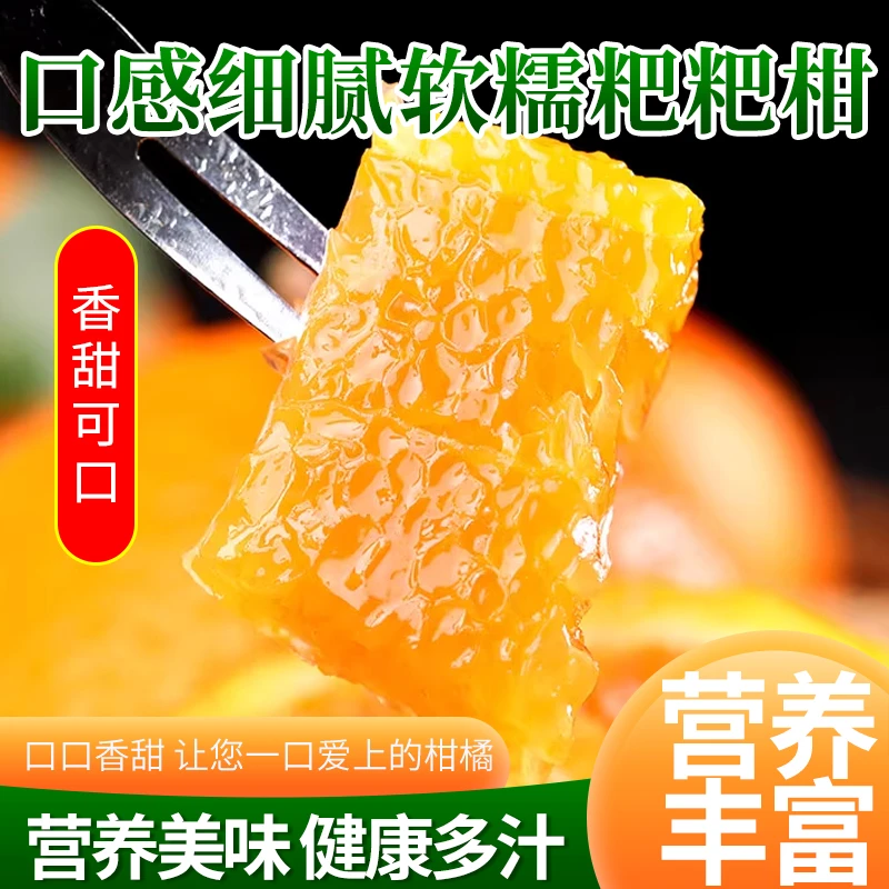 四川春见耙耙柑现摘现发方便易剥味道清甜可口多汁爆汁新鲜采摘