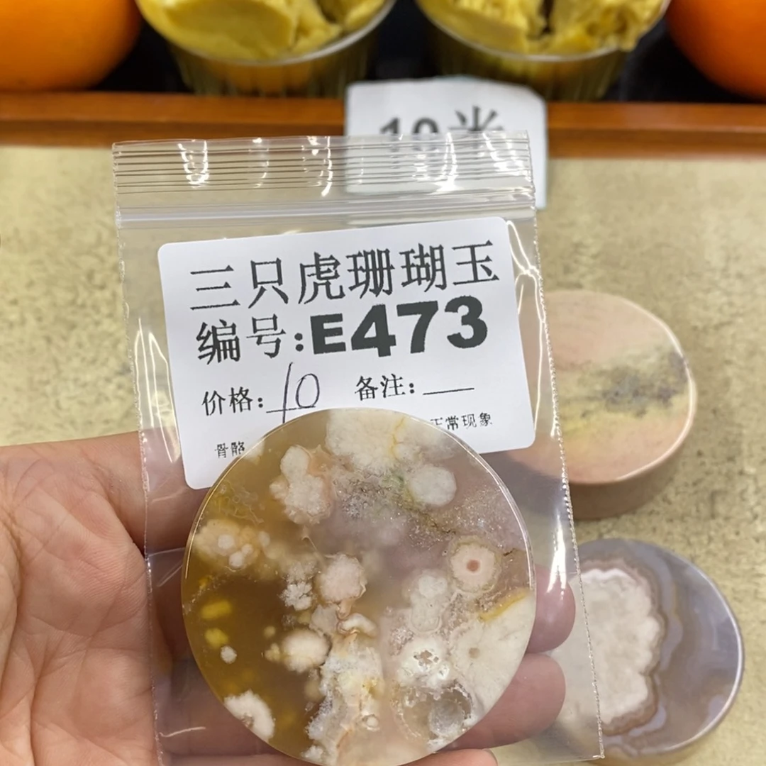 硅化珊瑚（珊瑚玉）1未镶嵌墨*