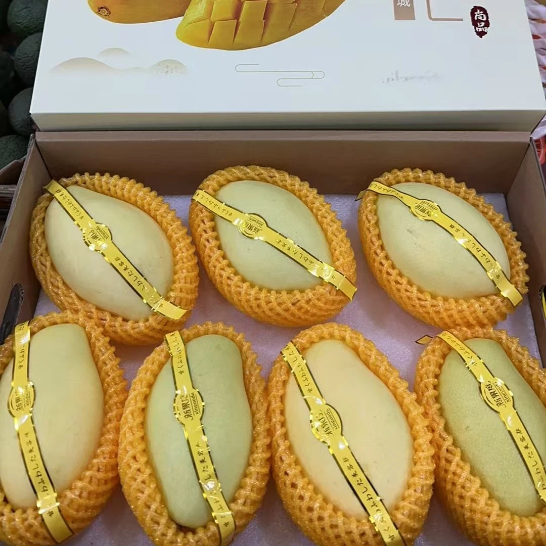 水仙芒 芒果礼盒
