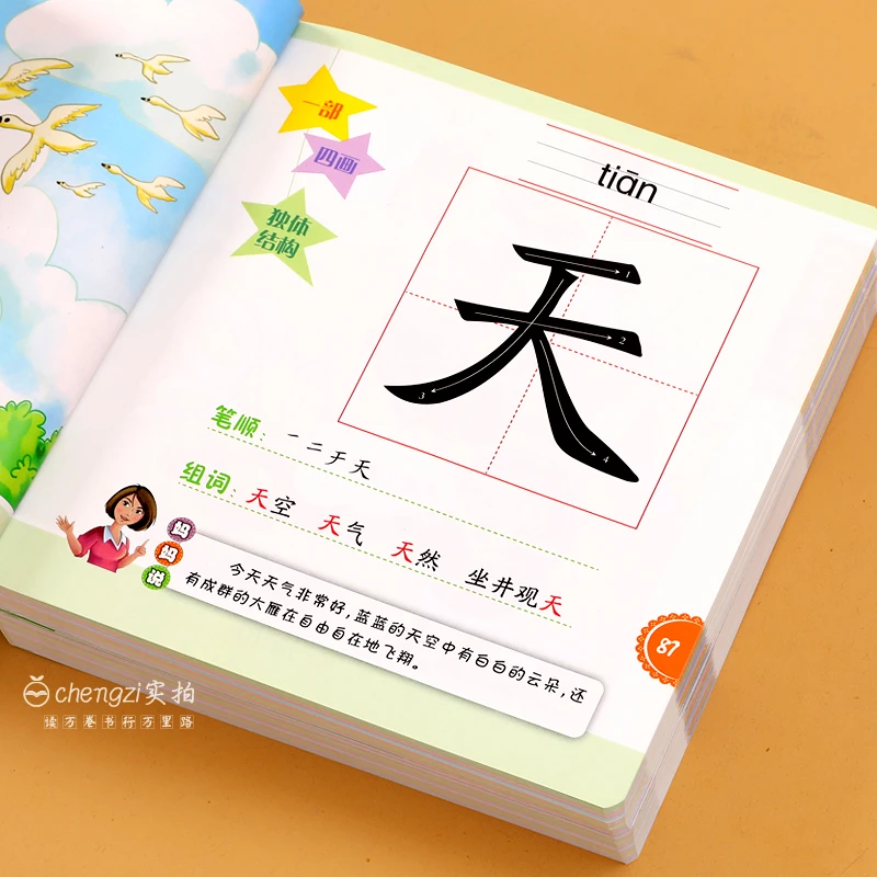 学前识字字典幼儿园小托班0-3-6岁宝宝早教看图认汉字书启蒙教材