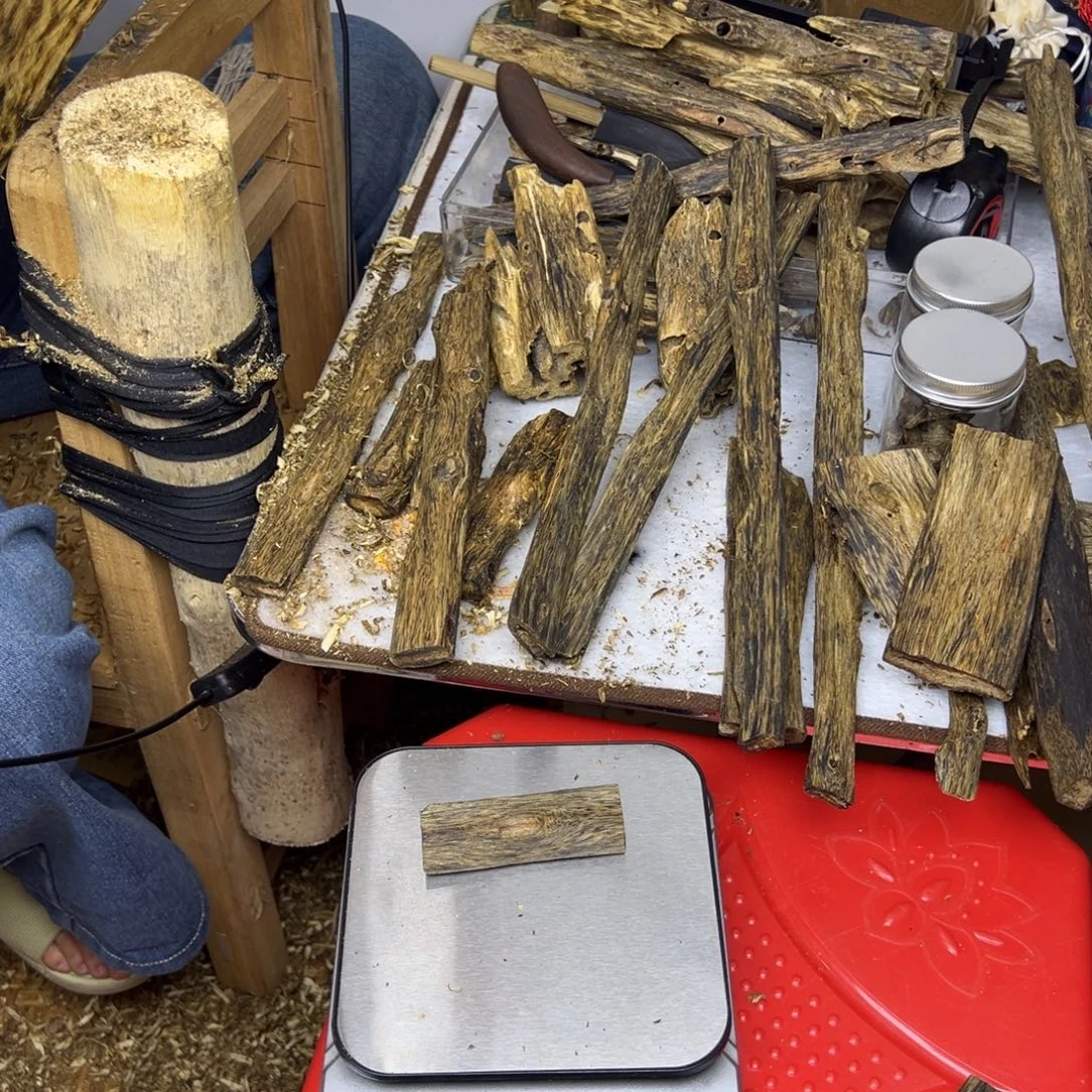 线香奇楠虫漏香16克