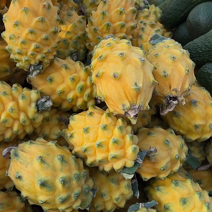 中国大陆燕窝果3斤