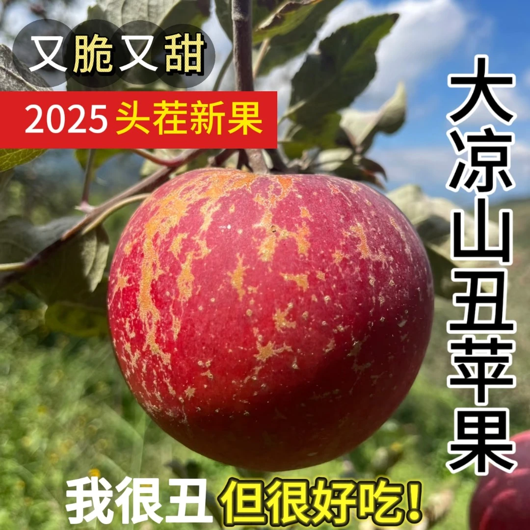 【丰收季】头茬大凉山盐源丑苹果高山现摘新鲜脆甜多汁四川省