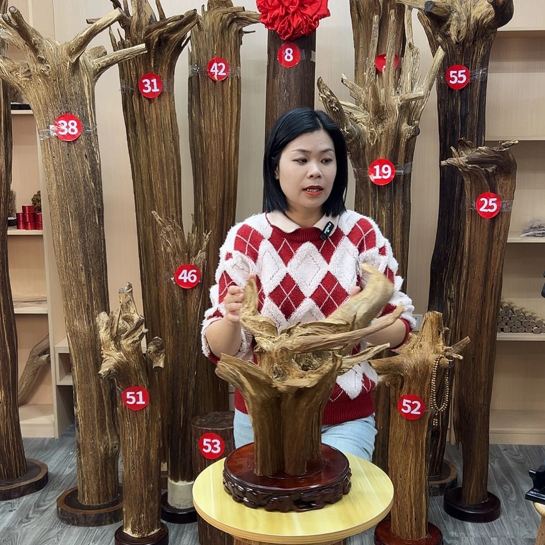 沉香沉香碎屑沉香