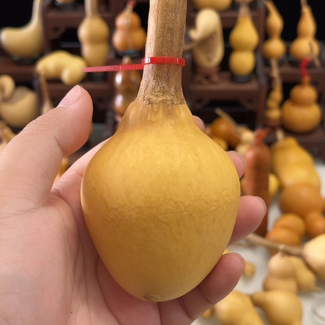 远***雾藤葫芦葫芦葫芦葫芦