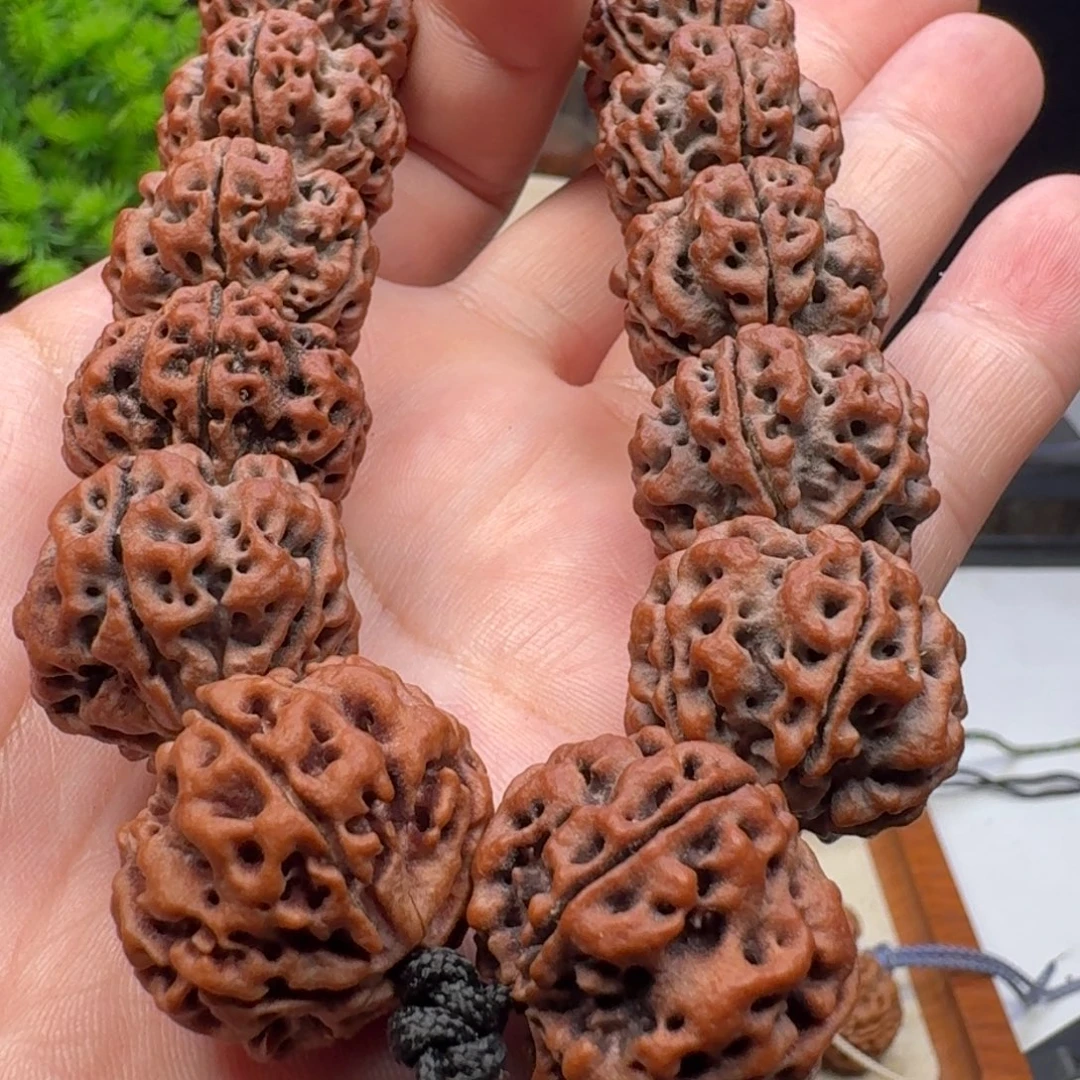 金刚菩提手串大粗筋蜂窝双龙