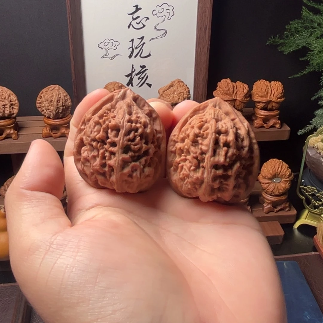 核桃42mm全品凤凰台