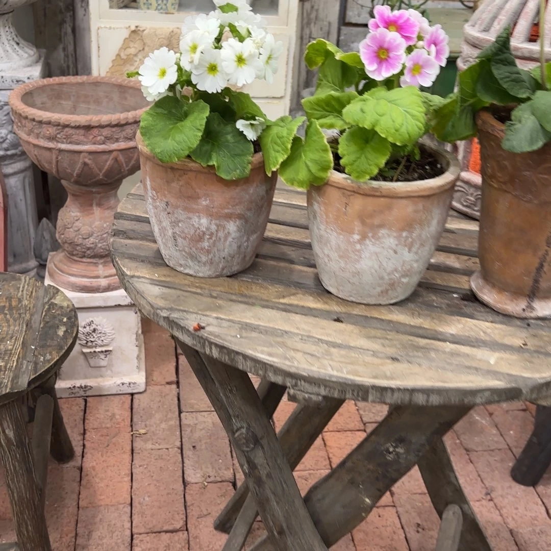 乖***咚许纯的花房 简约盆