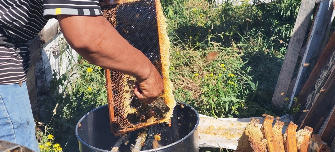 玻璃带盖饮料杯瓶加厚蜂蜜瓶密封罐创意奶茶瓶储物罐（蜂蜜）