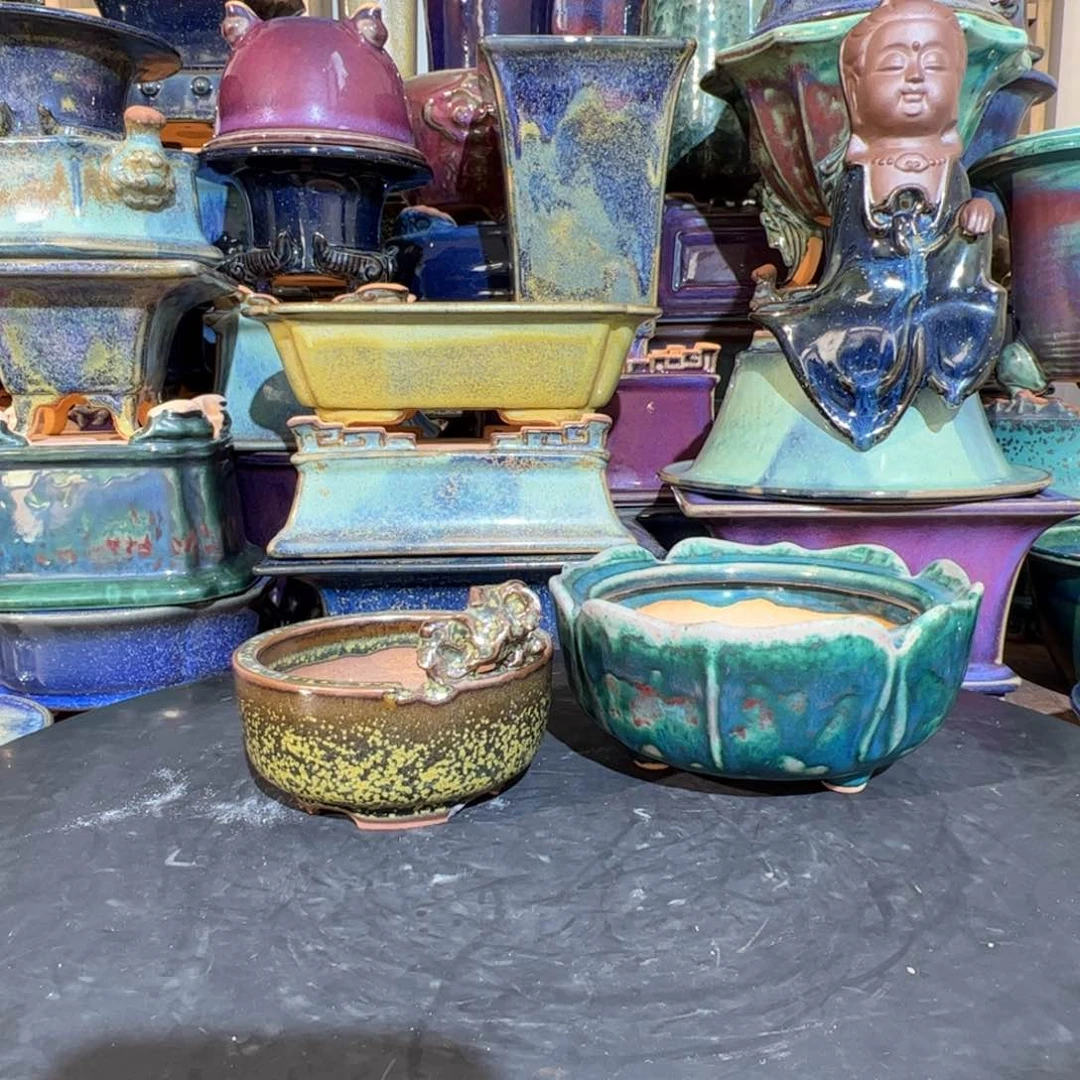 碟月*鸟觉象原创…………