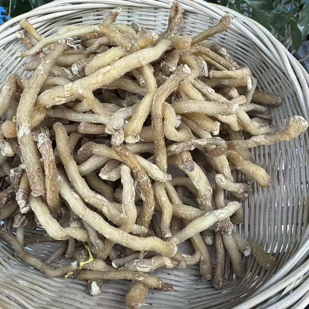 【小明优选】野生玉竹