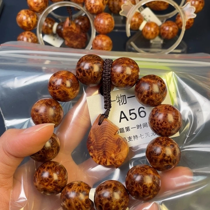 柏木（崖柏）其他青*56