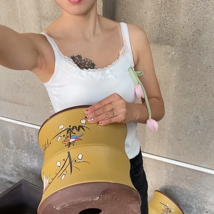 24花盆花盆花盆花盆花盆