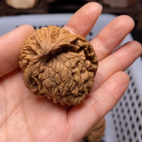 无***眠把件文玩核桃核桃