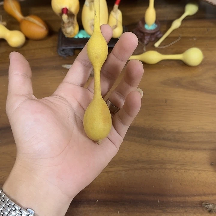风***雨ivigivivivobobobobobob