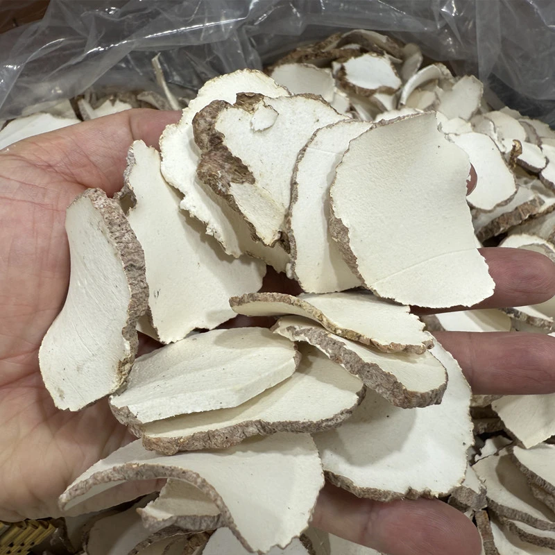 精选虎乳菌虎奶菌包邮