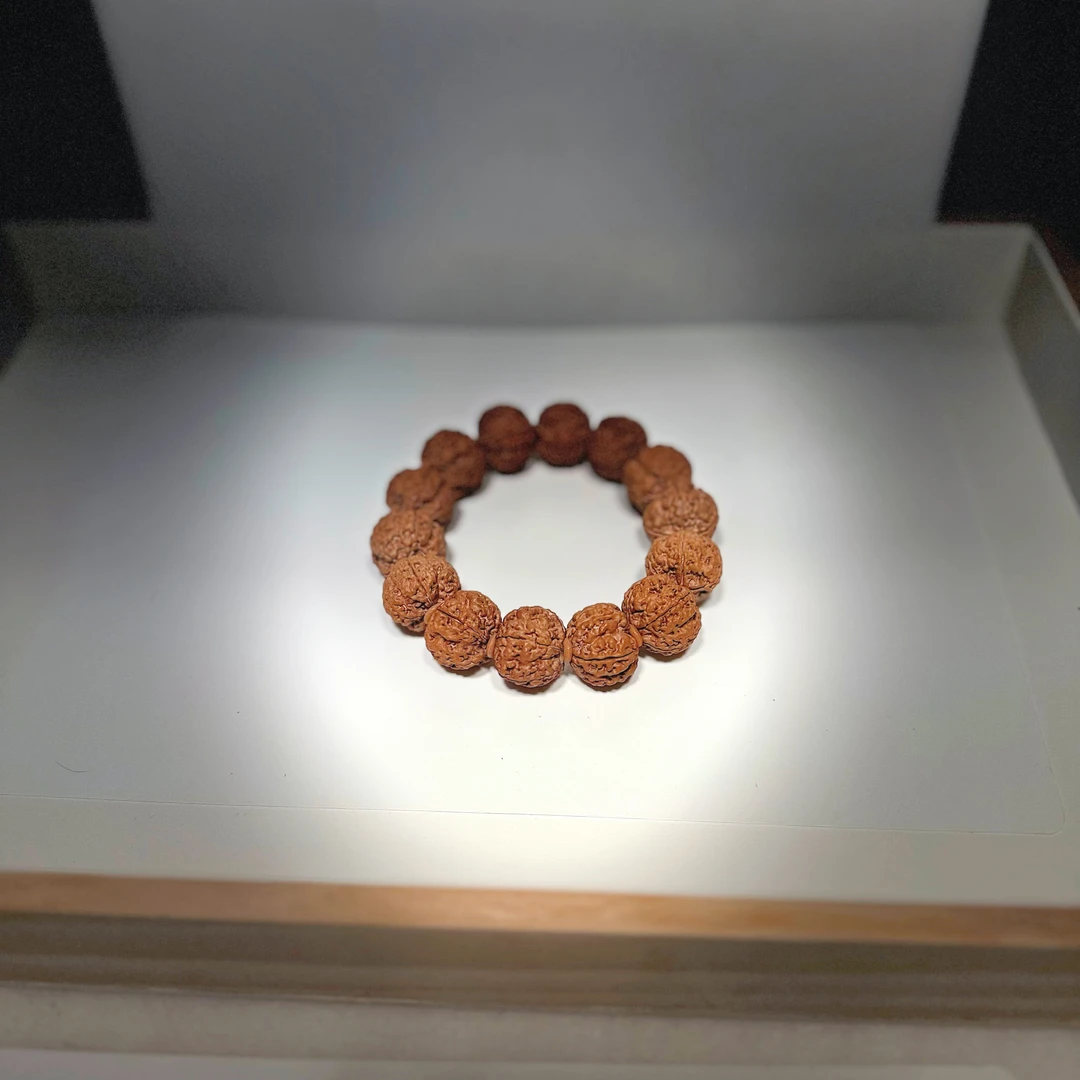 尼泊尔原皮五瓣梅花蜂王大金刚菩提
