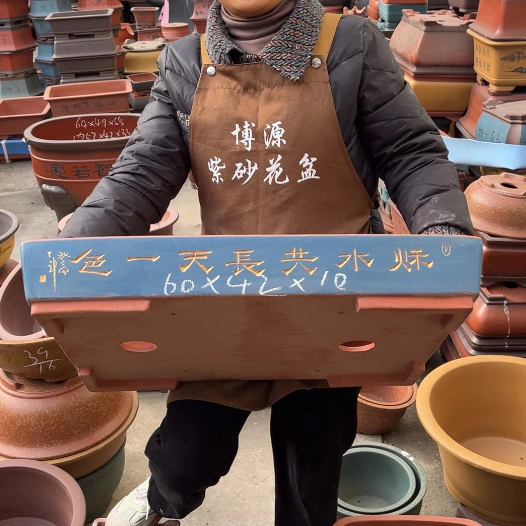 花盆紫砂盆景艺术