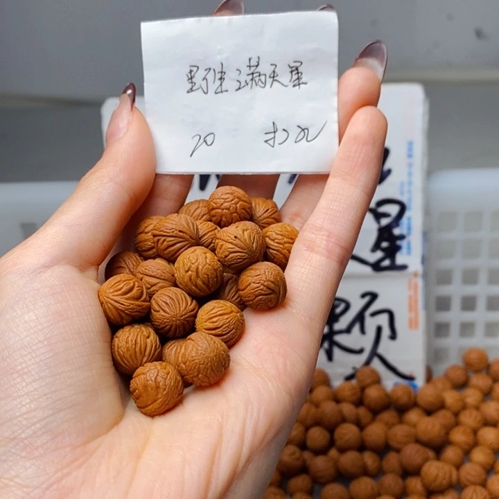 手串桃核11mm左右野生满天星20颗（打孔）