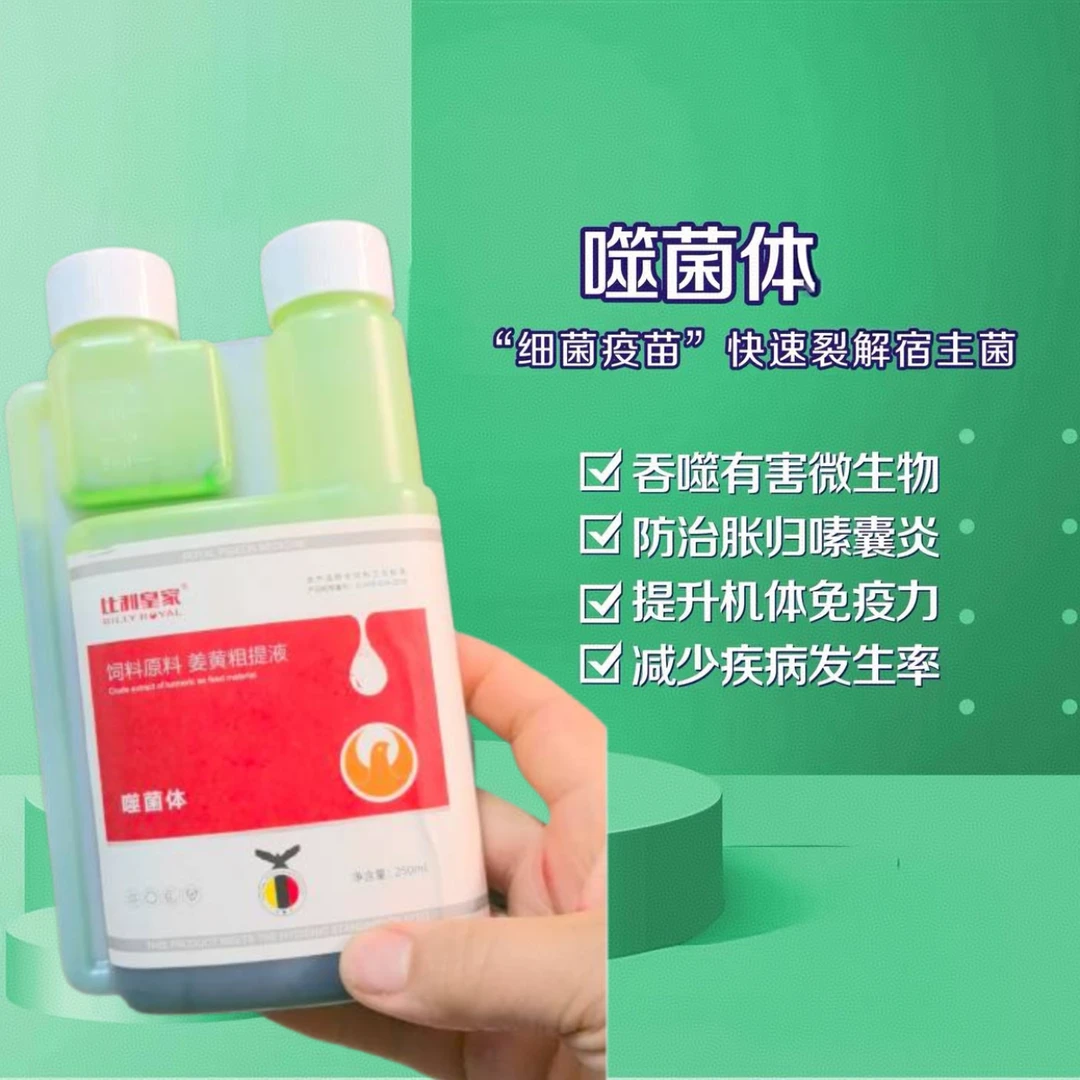 噬菌体250毫升鸽子沙门氏大肠杆毛滴球虫水便鸽子用品