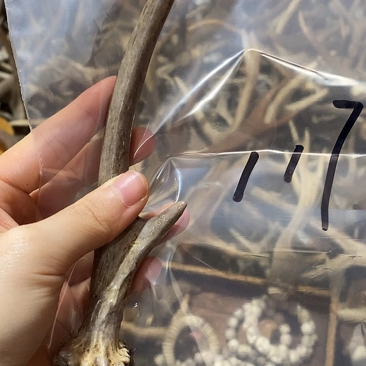 王***ꮤ非金属鹿角鹿角鹿角
