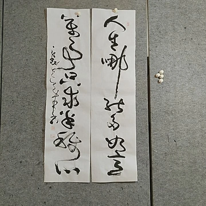 书法120X30X2。人生哪能多如意