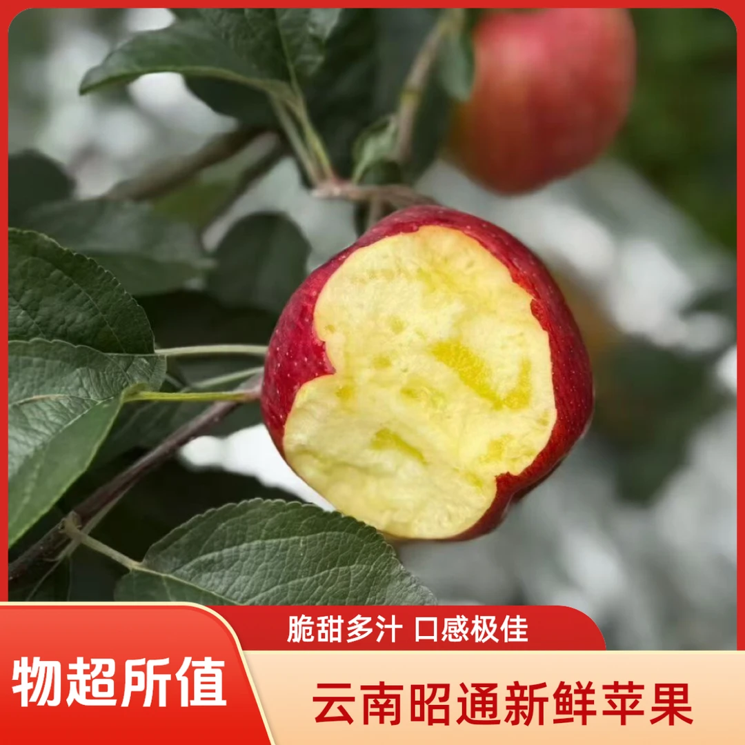 正宗云南昭通冰糖心丑苹果新鲜现摘脆甜多汁水果