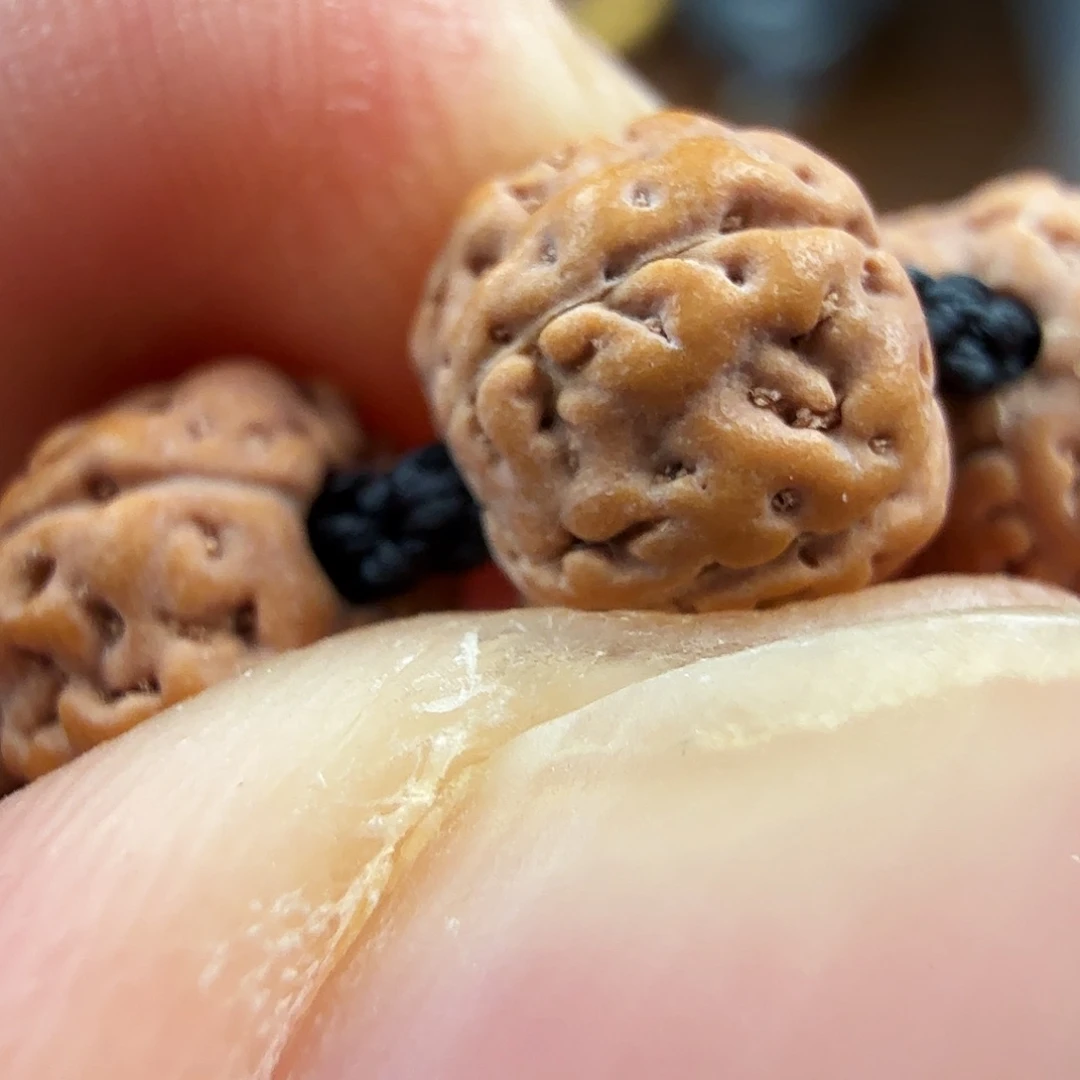 柏香籽/百香籽吊坠3