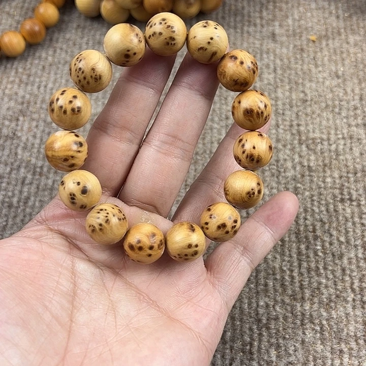 木太行崖柏1.5。。。。。