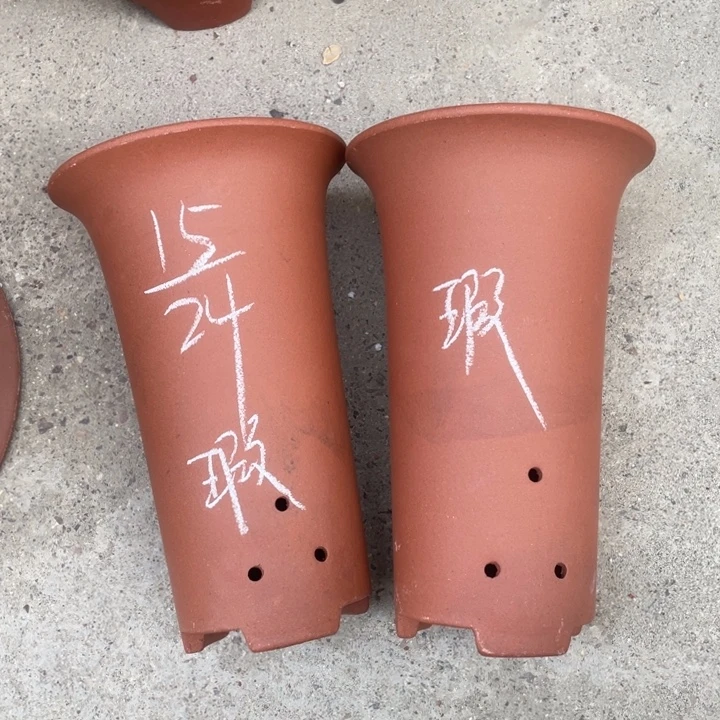 周深周深周深周深周深