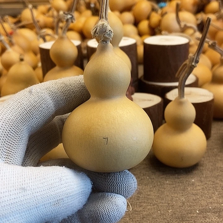 文玩葫芦 完美主义者 慎拍7