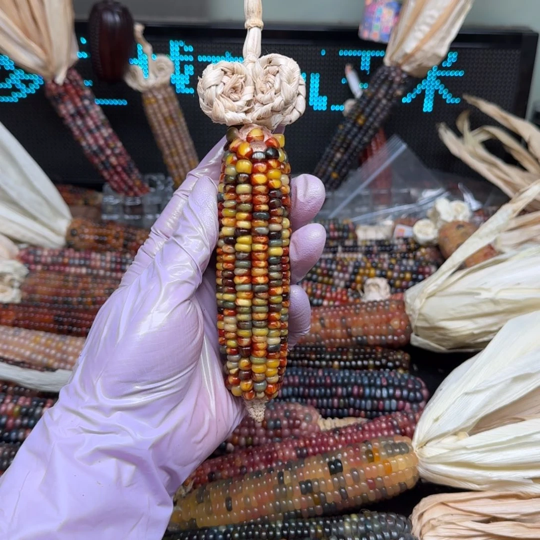 柏香籽/百香籽吊坠凌***油