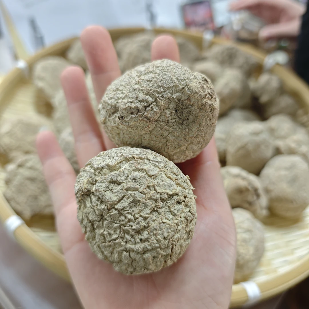 白皮虎奶菌 250g