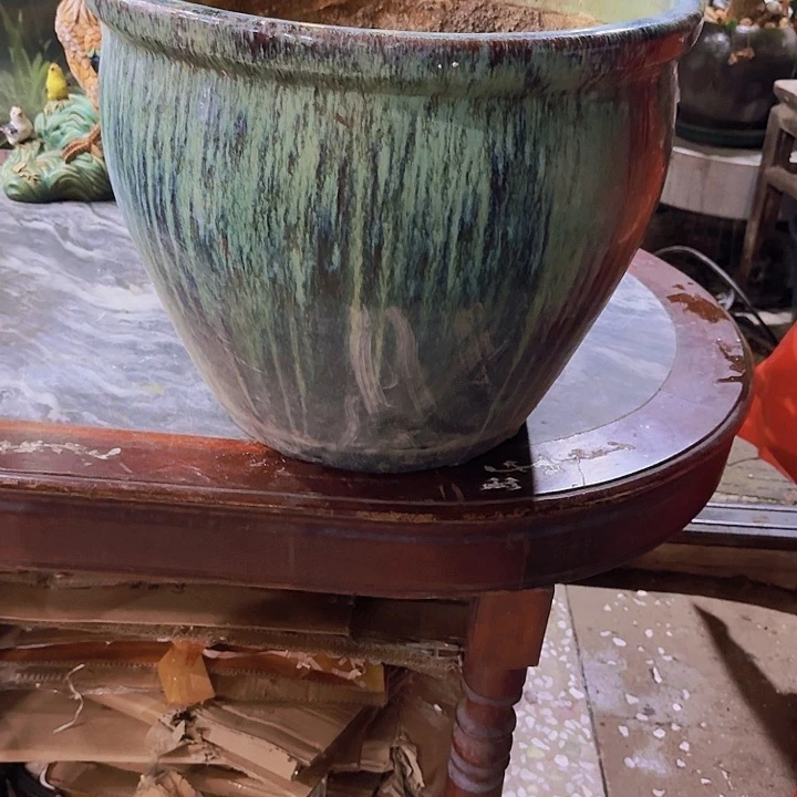 发*哥你是个好人呀小鱼虾好喜欢