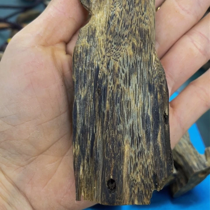 沉香沉香碎屑三*夫红骨凹身虫漏