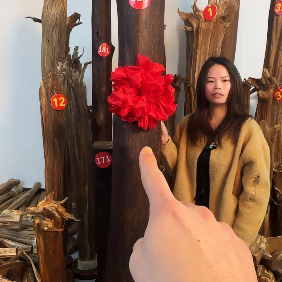 沉香木摆件用****3天然沉香原材料摆件➕底座