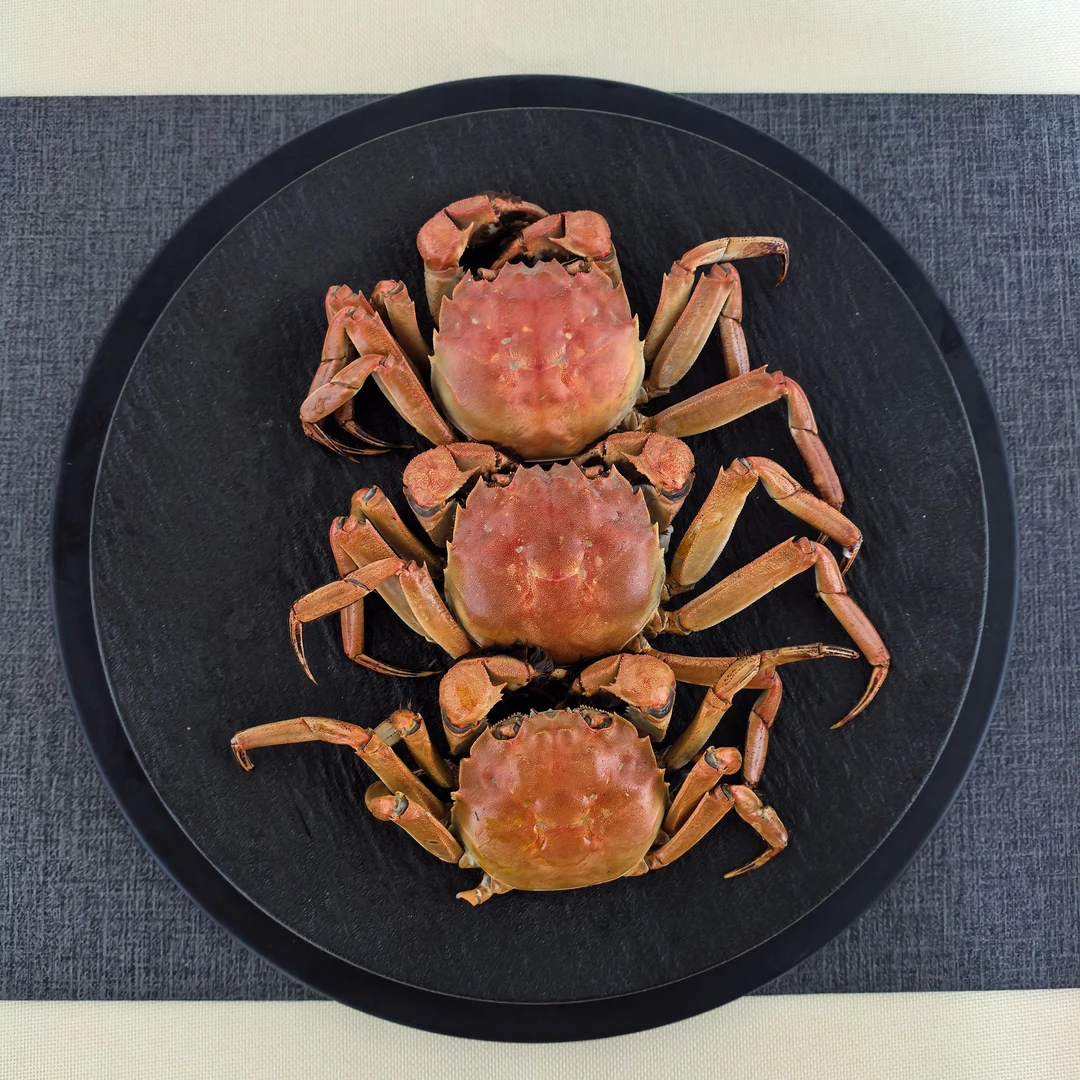 活蟹母蟹省内盘锦河蟹（0.9-1.2）两3斤