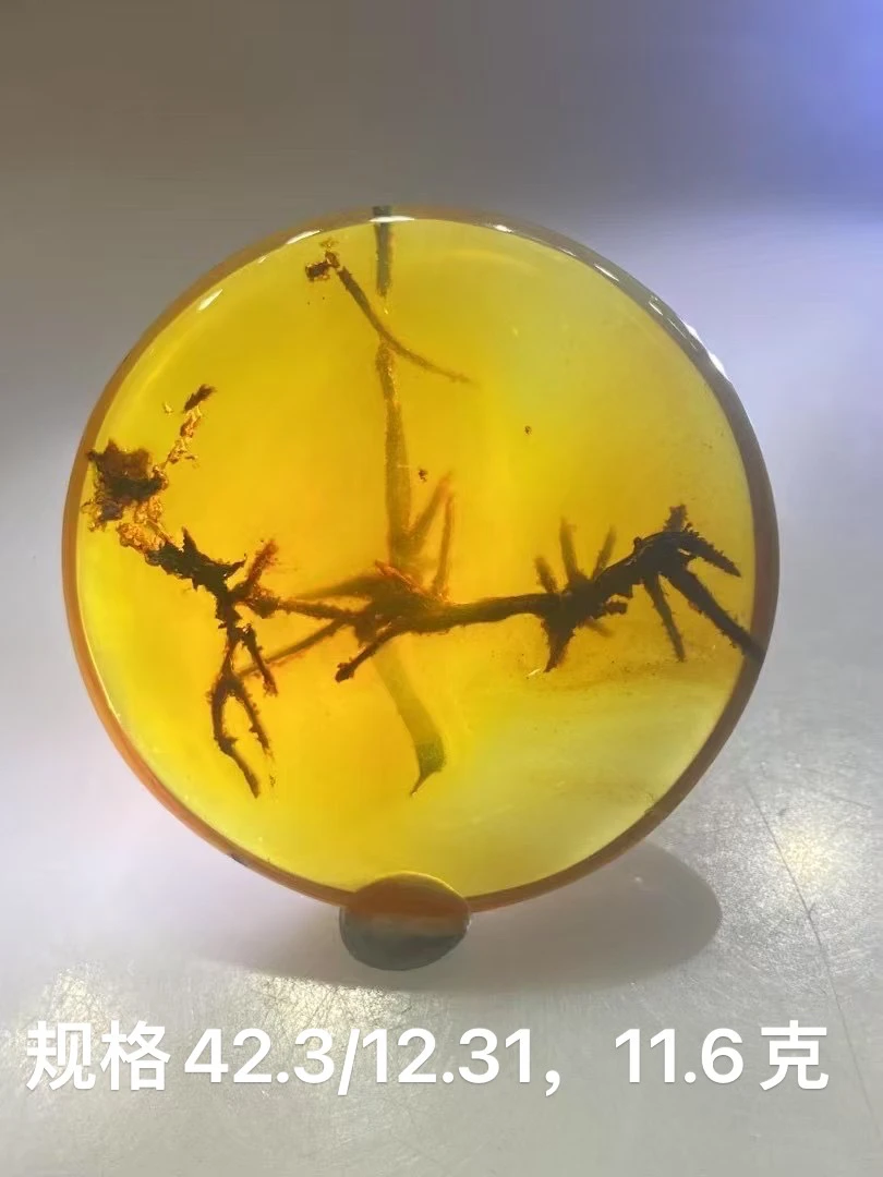 特色植物松针，也像“竹” 漂亮有意境清晰 圆牌圆圆满满可镶嵌佩戴