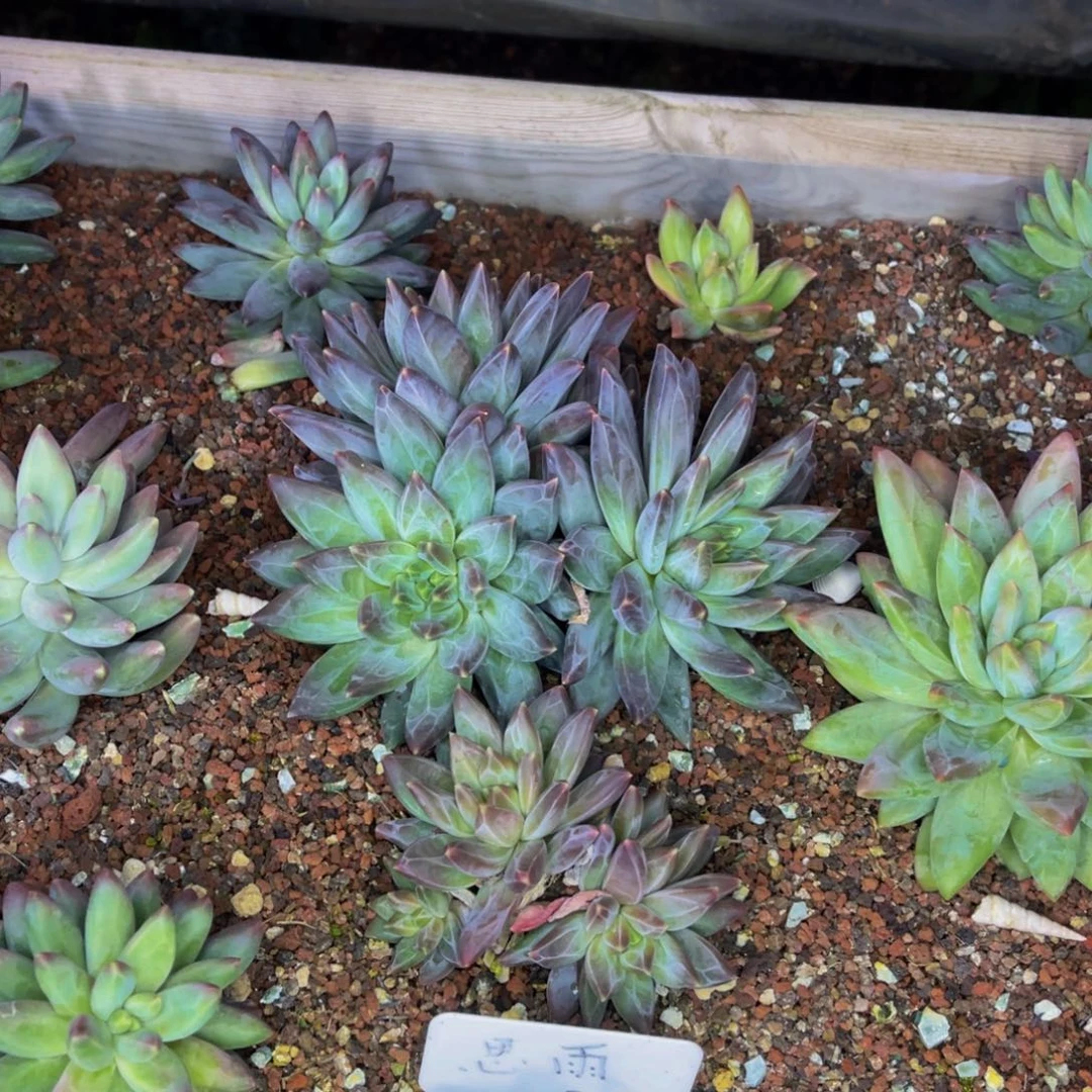 林*发货11111111111111