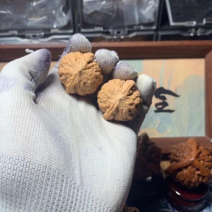 ****哈哈哈哈哈哈哈哈哈哈哈