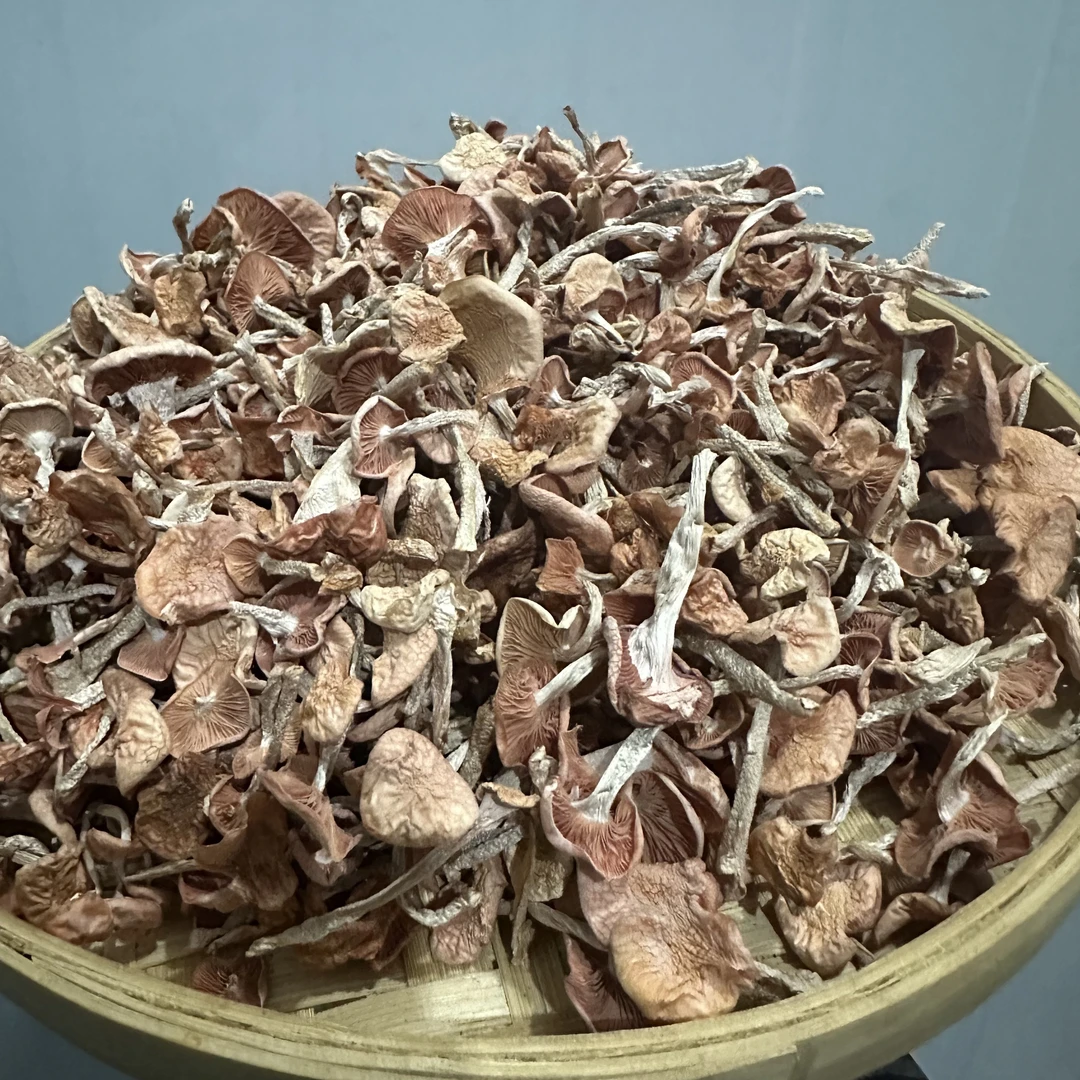云南野生【果香菌】农家采摘自然晾晒干货食用菌菌菇食材无硫