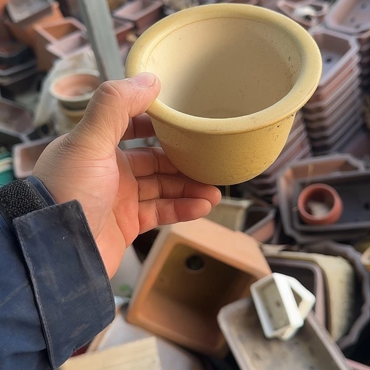 一定很喜欢的样子吧哈很棒呀小丁加油啦