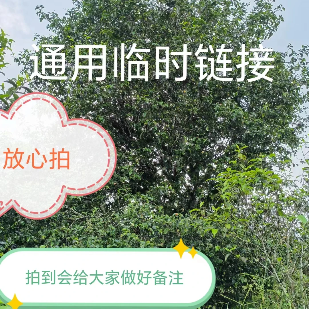【单株散茶100克】800年单株纯料源头普洱茶.（散茶通用临时链接）