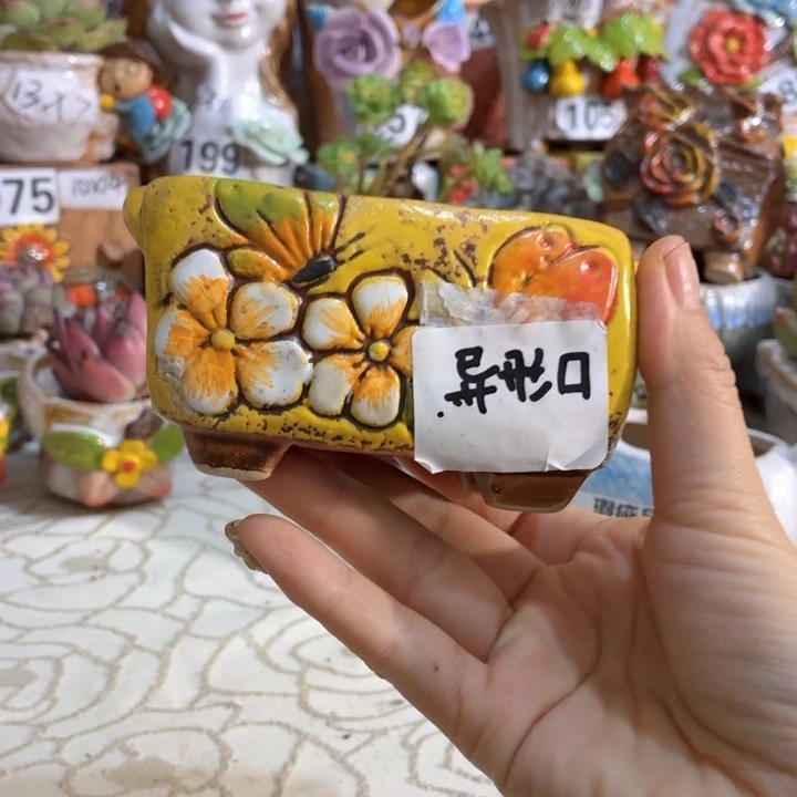 多肉花盆满15包邮